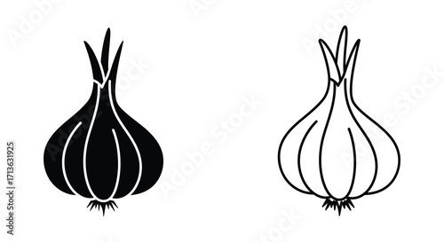 Simple black and white illustration depicting two different onion varieties