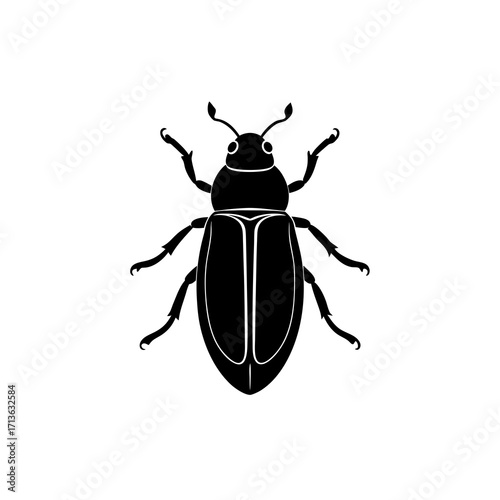 Cigarette Beetle Bug