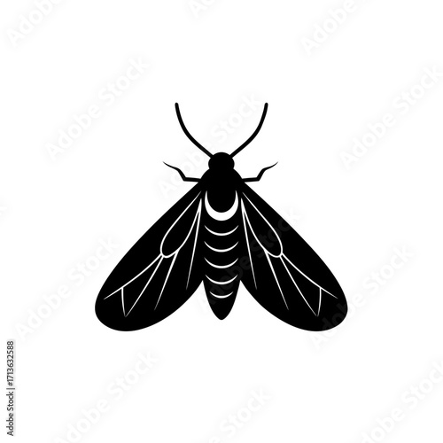 Corn Borer Moth Larva