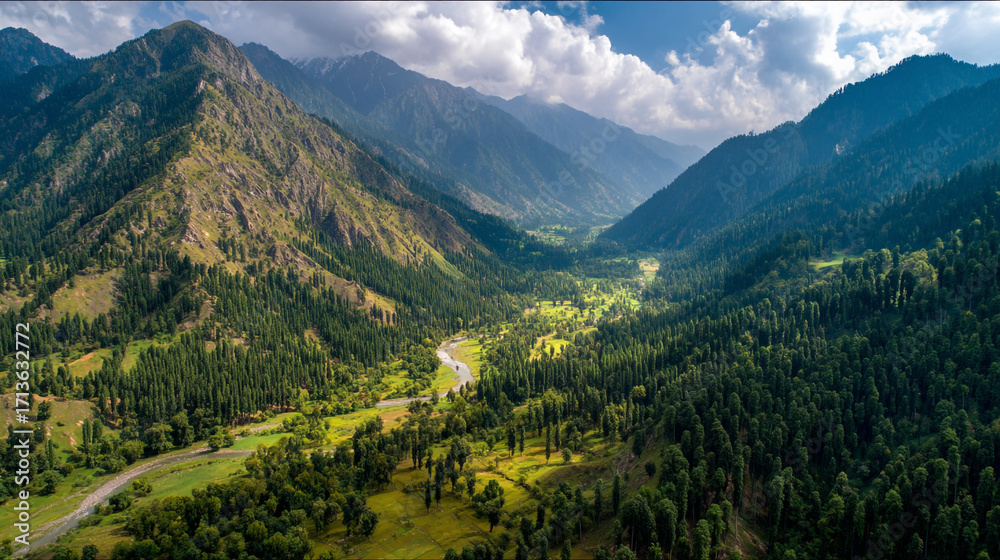 Obraz premium Aerial view of a lush green valley with a winding river and towering mountains in the distance
