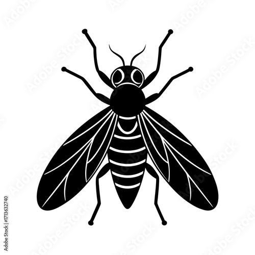 Snipe Fly Predator