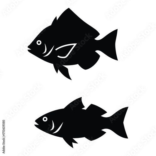 Two silhouettes of fish underwater aquatic marine life ocean sea creatures