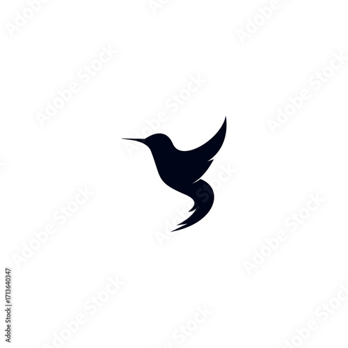 bird logo design
