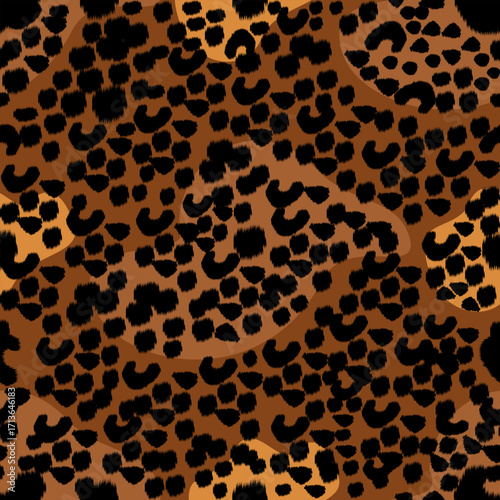 leopard skin texture pattern.