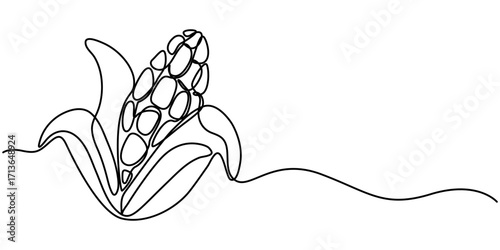 Continuous one line drawing of corn, One line drawing illustration of vegetarian food, sketch isolated on white background. Vector illustration. 