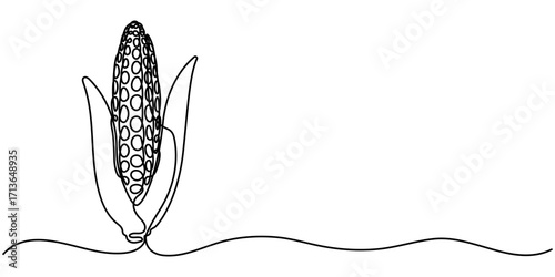 Continuous one line drawing of corn, One line drawing illustration of vegetarian food, sketch isolated on white background. Vector illustration. 