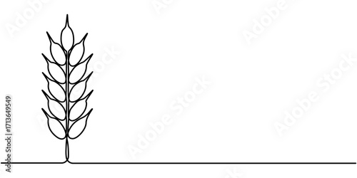 Continuous one line drawing of wheat. Barley or Rye outline vector illustration. Editable stroke. 