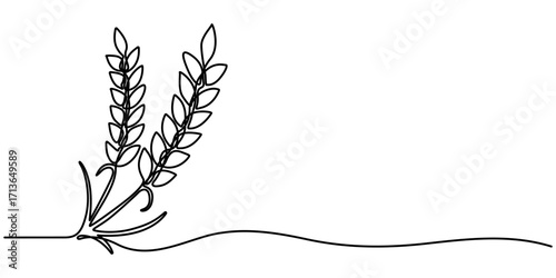 Continuous one line drawing of wheat. Barley or Rye outline vector illustration. Editable stroke. 