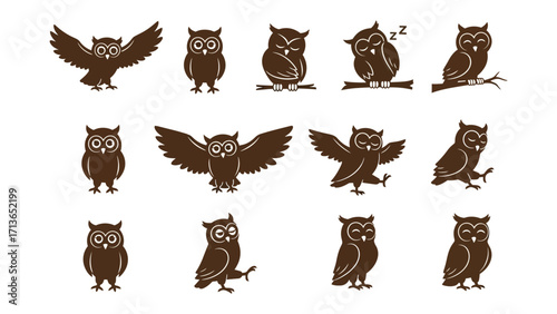 Owl Illustrations: A collection of charming owl illustrations showcases the beauty of the nocturnal bird in various poses, perfect for nature enthusiasts and designers. 