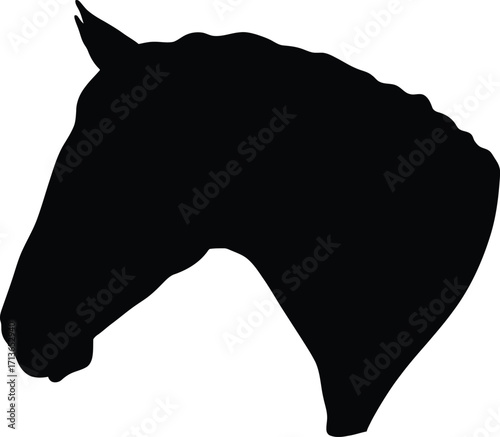 Black horse head silhouette white