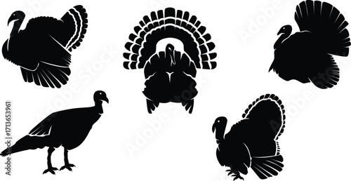 Turkey silhouette
