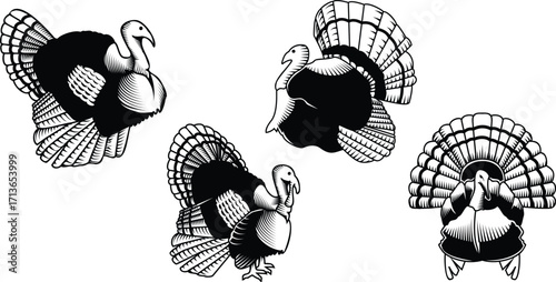 Turkey Vintage Silhouttes