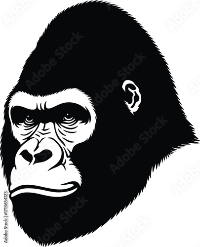 Gorilla head black white vector silhouette primate