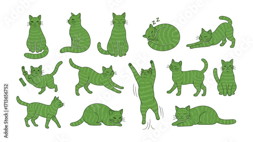 Green Cat Collection: An animated illustration featuring various playful cat poses, showcasing the versatility and charming nature of these beloved feline companions.