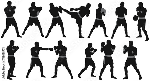 Silhouettes of martial artists demonstrating various fighting stances and techniques