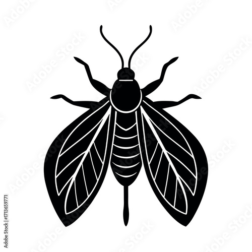 Leaf Insect Nature Bug Illustration  