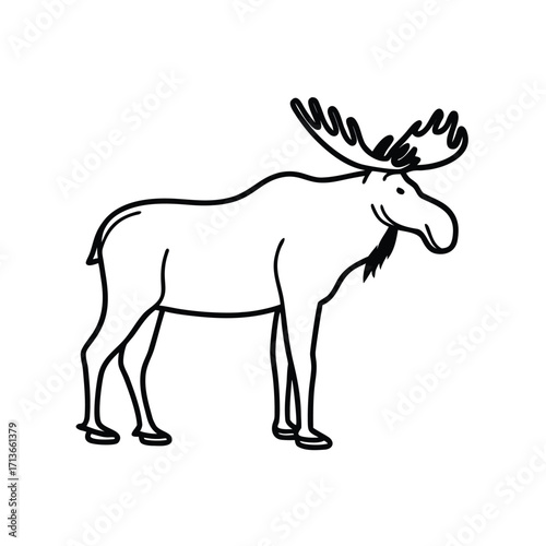 Moose Standing in Natural Forest Landscape