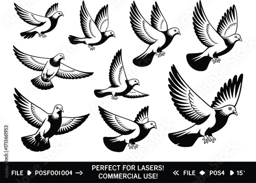 Collection of flying pigeons in diverse poses demonstrating freedom and peace dove imagery