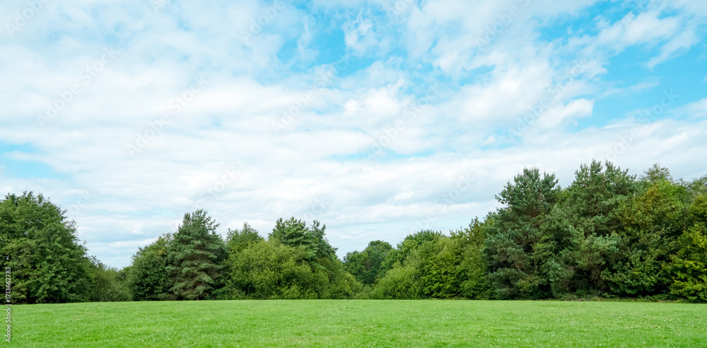 Fototapeta premium Sky blue,cloud over Green grass field lawn with forest tree and sunlight in summer. Serene Nature landscpe green meadows in spring park, Beautiful panoramic for background, web banner