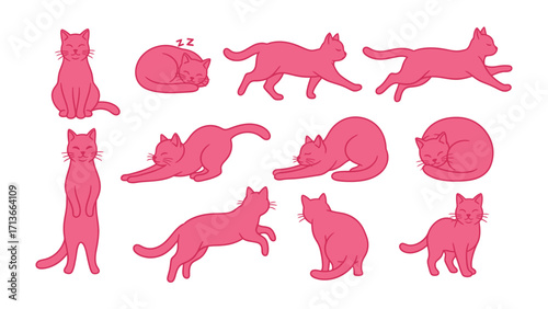 Animated Cat Poses: A vibrant display of cartoon cat poses in a delightful animation. capturing the diverse posture and personality