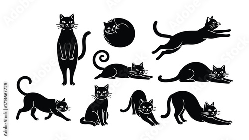 Whimsical Cat Collection: An array of playful, minimalist cat illustrations in various poses, celebrating the curious and graceful nature of felines. 
