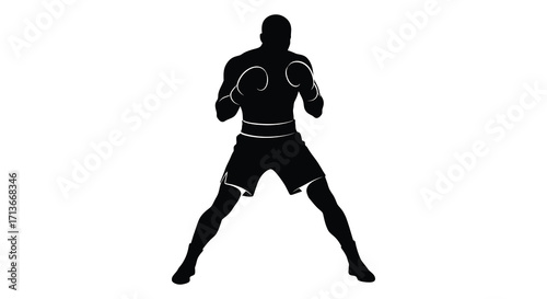 Silhouette of a boxer in a fighting stance ready for competition