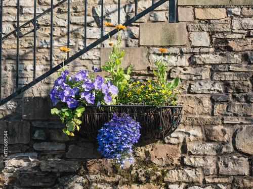 Beautiful hanging flower basket filled with vibrant blooms against a rustic stone wall with black railing.