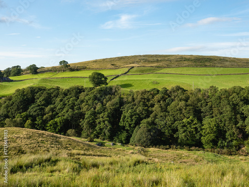 Scenic view of rolling green hills, dense woodlands, and dry stone walls in Yorkshire Dales National Park on a sunny day.