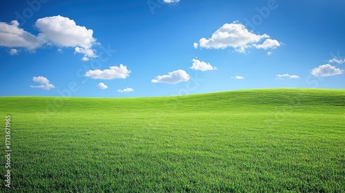 Lush green field under a vibrant blue sky
