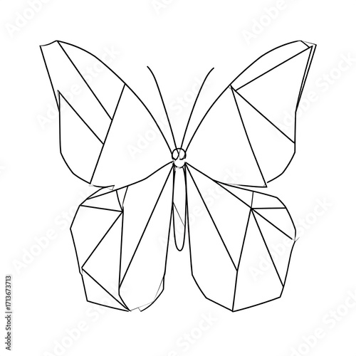 Geometric butterfly outline