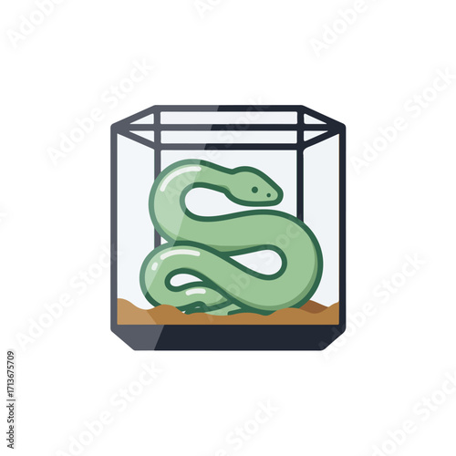 Green snake in a terrarium. Suitable for reptile care, pet shops, and educational materials on snakes, wildlife, and habitat conservation.