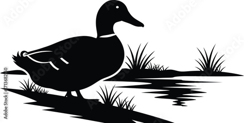 Elegant duck silhouette with water and grass, wildlife illustration