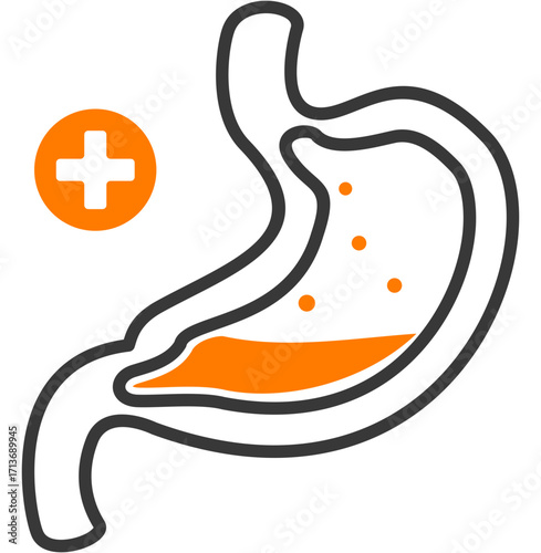 Stomach
