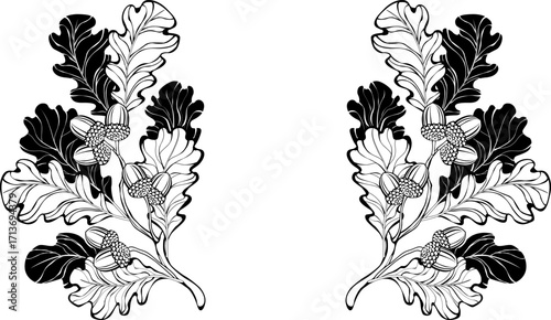 Contour oak branches