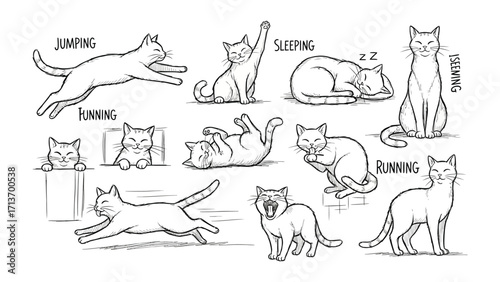 A Cat's Dynamic Day: A charming pen-and-ink illustration showcasing a cat in various animated poses. 