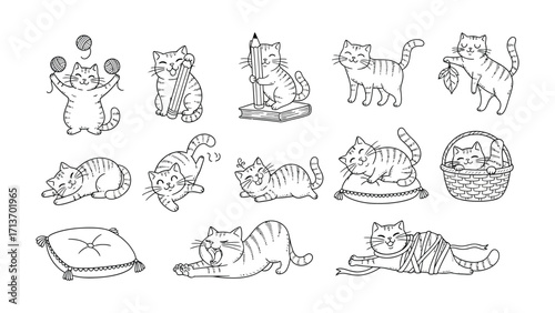 Cute Cats in Action: A charming array of sketched cats, captured in various playful poses, offering a delightful study of feline whimsy.