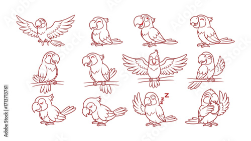 Tropical Parrot Sketch Collection: A collection of sketches showcase parrots in various poses, each radiating unique charm, perfect for adding a touch of tropical allure to any creative project.