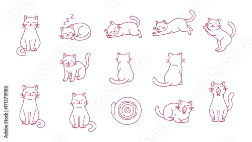 Cat's Daily Life: A charming illustration captures a cat's day, from playful stretches to serene rest and sleepy moments, presented in a simple, elegant style.