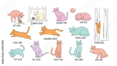Cat breed pattern illustration: a collection of colorful cat breeds illustrated with detailed strokes. Displayed on a graphic background.