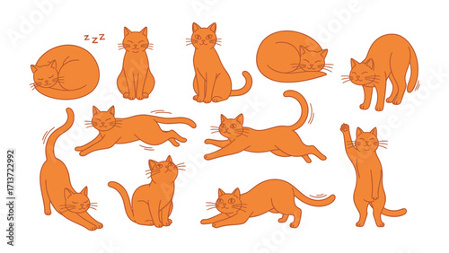 Playful Feline: A collection of adorable cartoon illustrations of ginger cat showcase their playful personalities. From sleeping and stretching to running and pouncing.