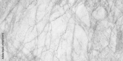 abstract horizontal elegant white marble texture background, White marble pattern texture for background, wall surface black pattern graphic abstract light elegant black for do floor ceramic counter.