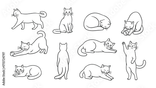 Graceful feline poses: An illustration of a variety of simple and cute cat poses. Showcasing a range of graceful cat postures for artistic and design applications.