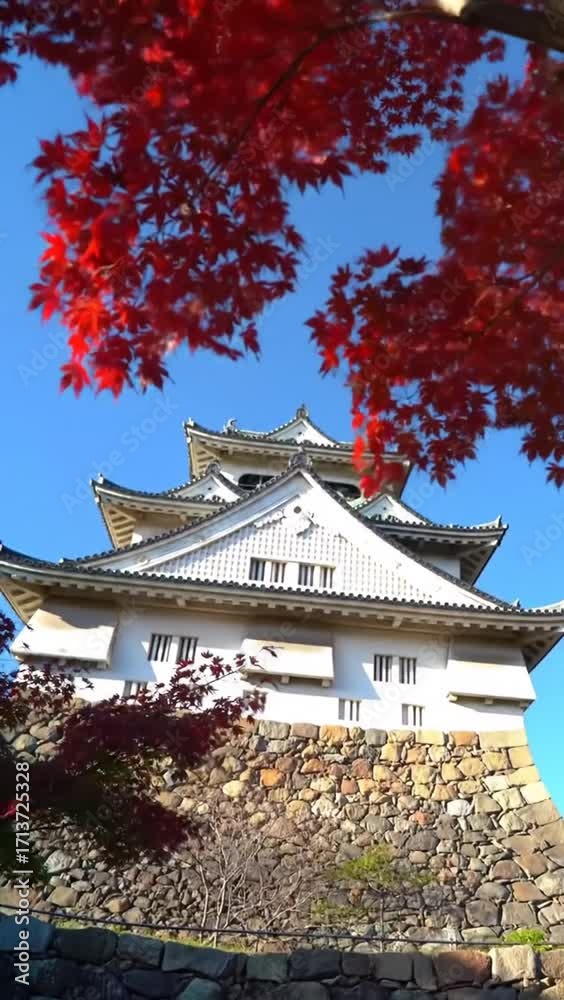 A beautiful, white, multi-tiered castle rises on a stone base with red autumn leaves framing the scene against a clear blue sky A beautiful, white, multi-tiered castle rises on a stone base with red autumn leaves framing the scene against a clear blue sky