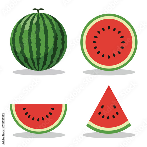Fresh Watermelon Fruit Whole and Slices Vector Illustration.
