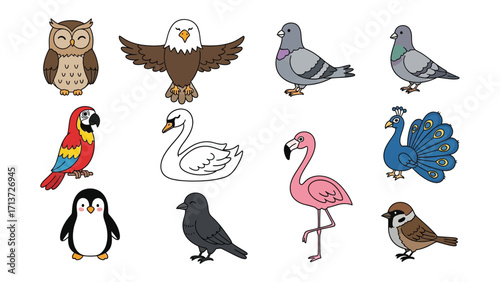 A Diversity of Avians in Illustration: A vibrant assortment of illustrated birds showcases the beauty and variety of avian life, each detail finely crafted in this stunning collection.