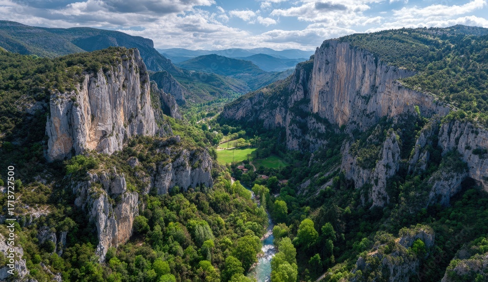 Obraz premium High-angle view of a verdant valley carved by a river, surrounded by sheer cliffs