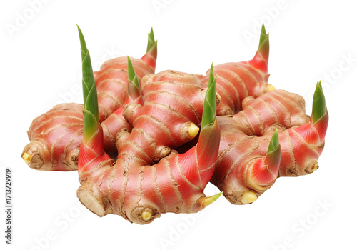 Red ginger whole and sliced with sprout leaves isolated on transparent