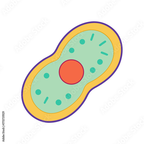 Stylized illustration of a cell membrane with nucleus and organelles
