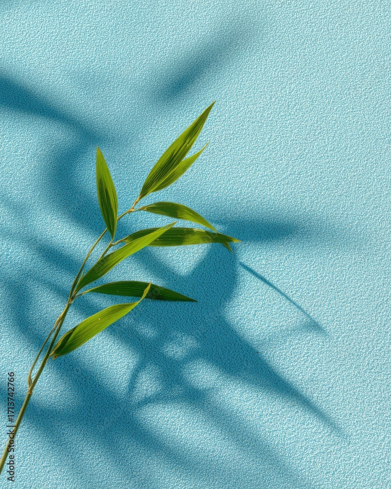 Obraz premium Light teal background with a plant casting a shadow