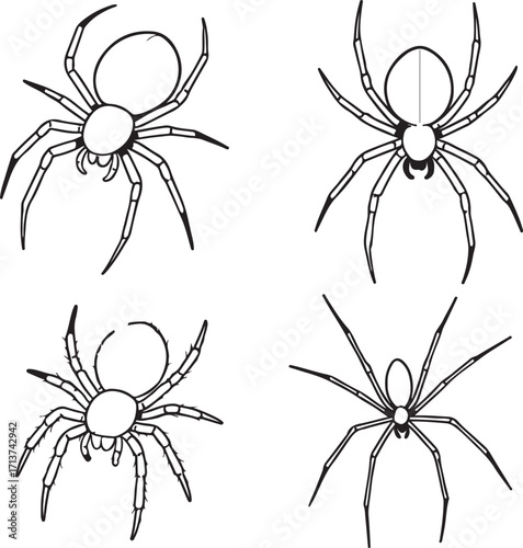 line art spiders